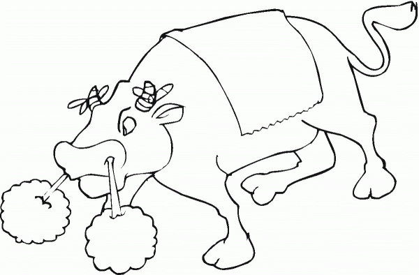 Bull 13 coloring page image
