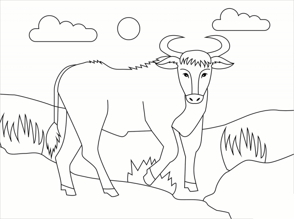 Bull coloring page image