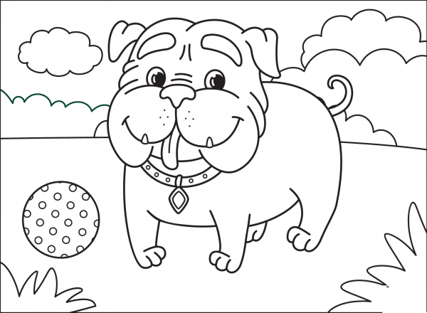 Bulldog coloring page image