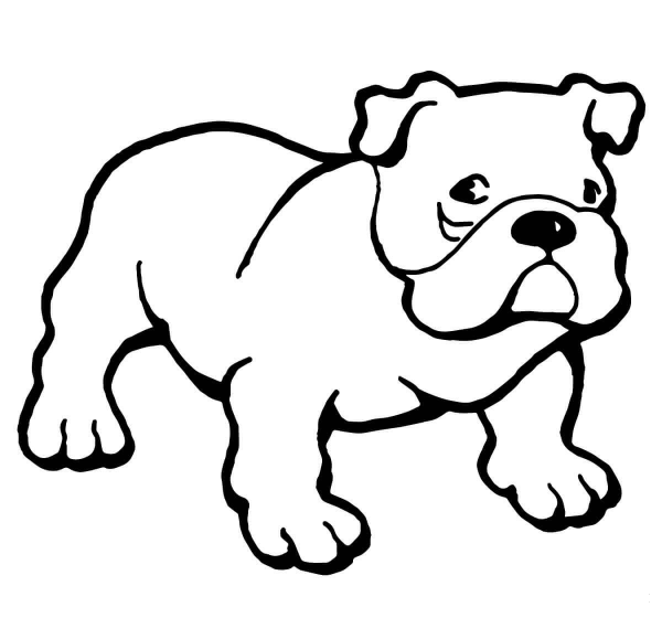 Bulldog coloring page image