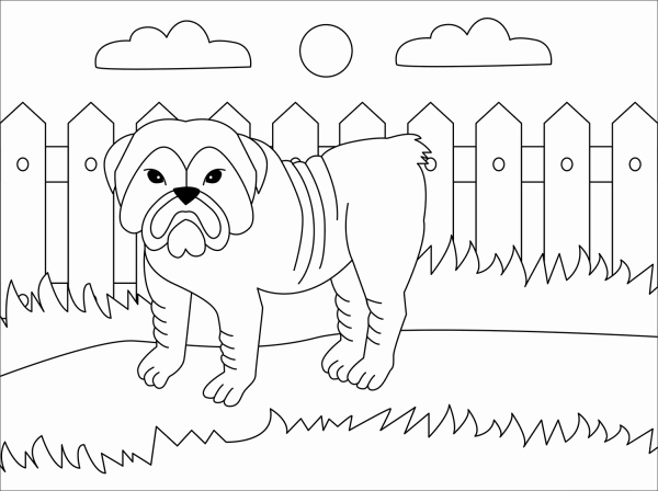 Bulldog coloring page image