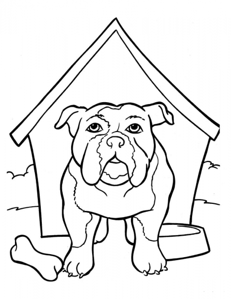 Bulldog Is In The Kennel coloring page image