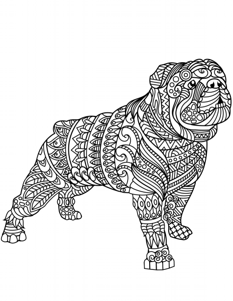 Bulldog Zentangle coloring page image