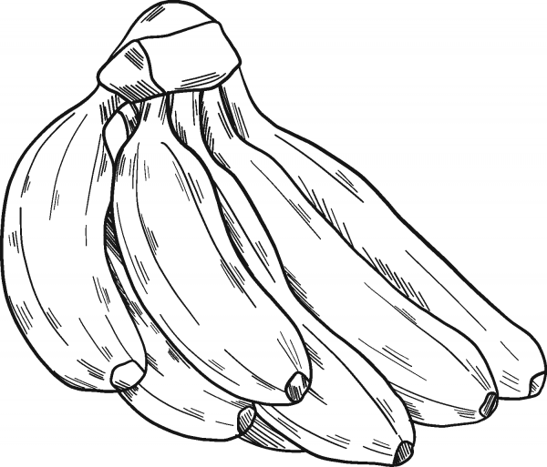 Bunch of bananas coloring page image