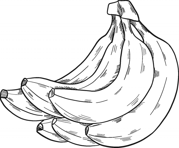 Bunch of bananas coloring page image