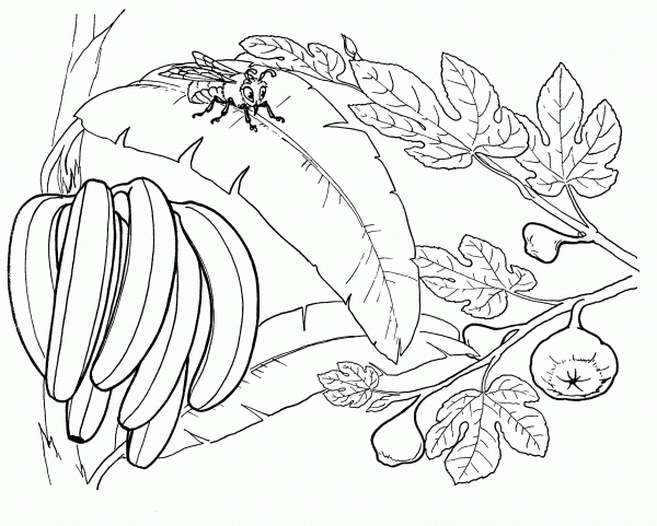Bunch of Bananas on a ‘Banana’ Tree coloring page image