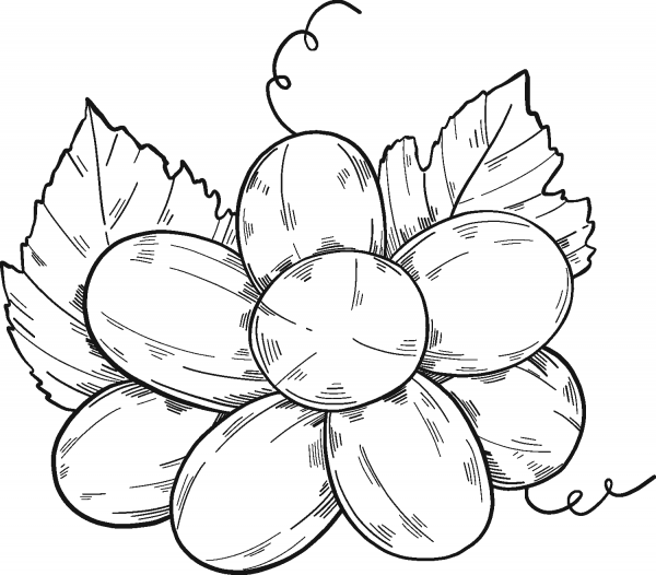 Bunch of Grapes coloring page image