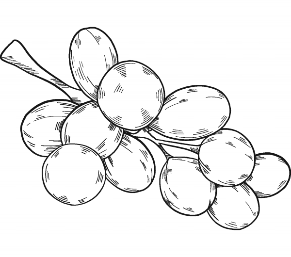 Bunch of Grapes coloring page image