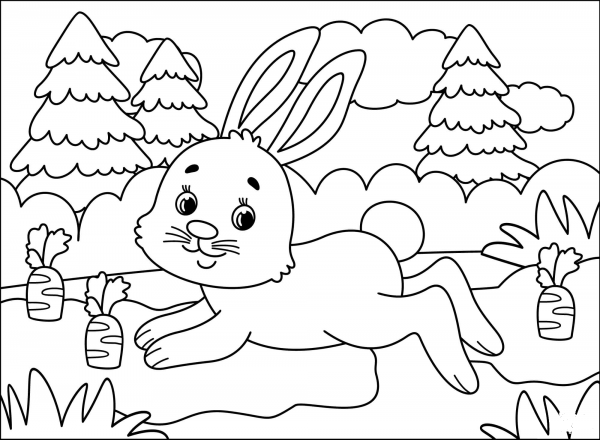 Bunny coloring page image