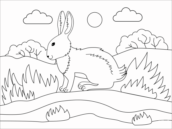 Bunny coloring page image