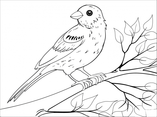 Bunting coloring page image