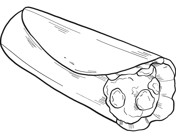 Burrito coloring page image