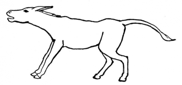 Burro coloring page image