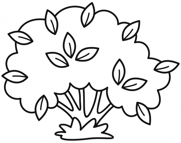 Bush coloring page image