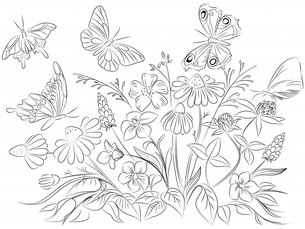 Butterflies and Flowers coloring page image