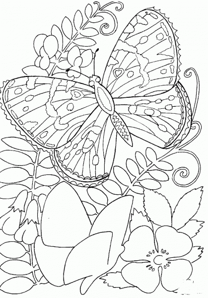 Butterfly Among Flowers  coloring page image
