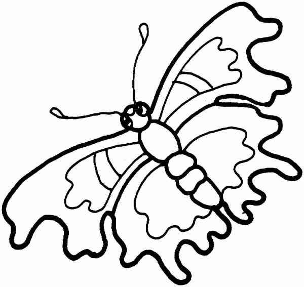 Butterfly coloring page image