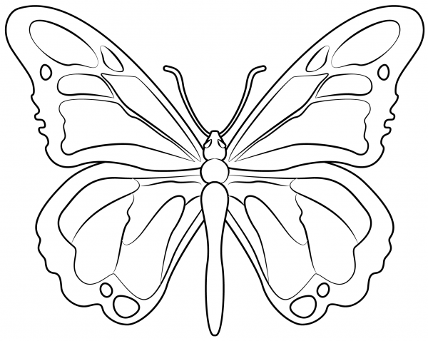 Butterfly coloring page image