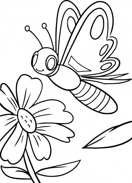 Butterfly coloring page image