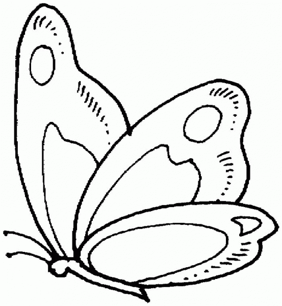 Butterfly coloring page image