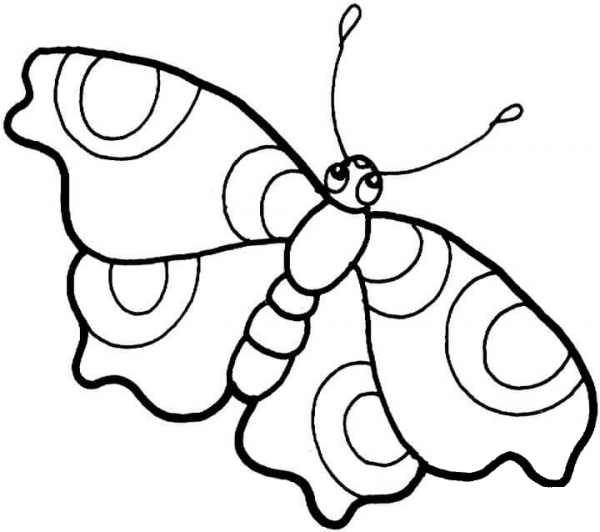 Butterfly coloring page image