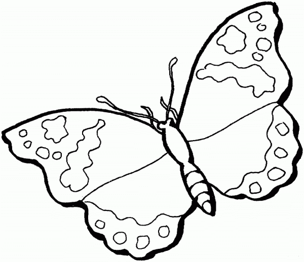 Butterfly coloring page image