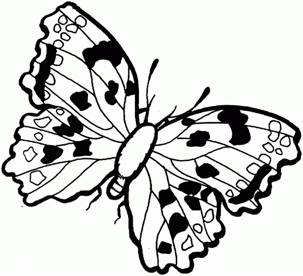 Butterfly coloring page image