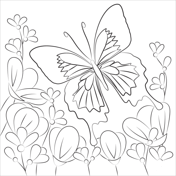 Butterfly coloring page image