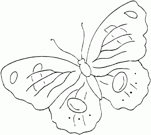 Butterfly coloring page image