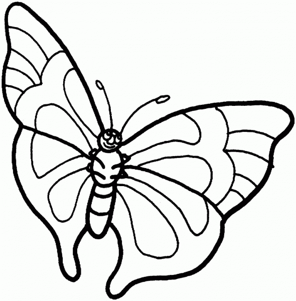 Butterfly coloring page image