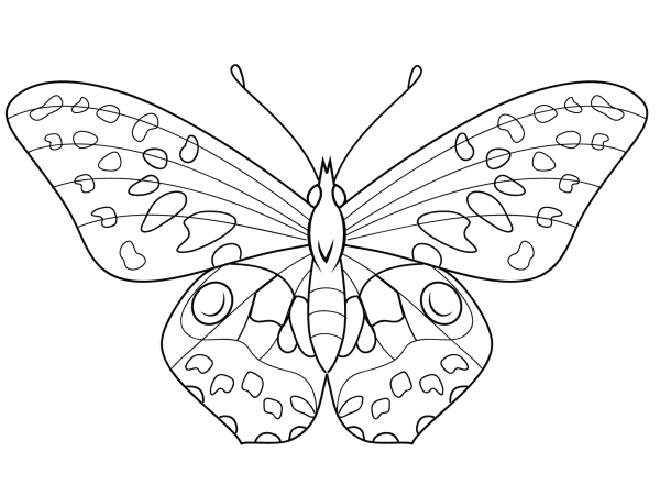 Butterfly coloring page image