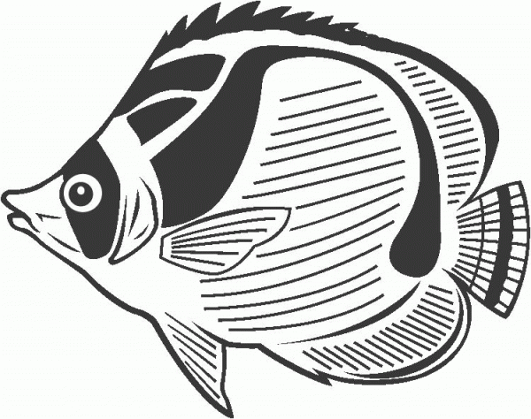 Butterfly Fish coloring page image