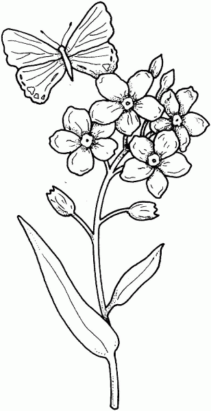 Butterfly Flies On A Flower coloring page image