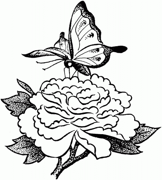 Butterfly On A Flower coloring page image