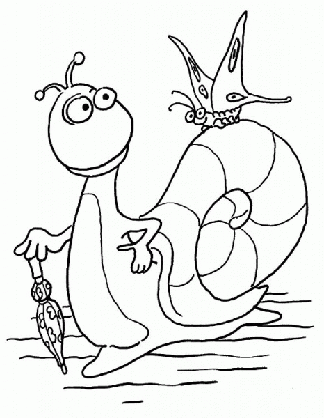 Butterfly On Snail coloring page image