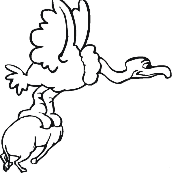 Buzzard Caught an Animal  coloring page image