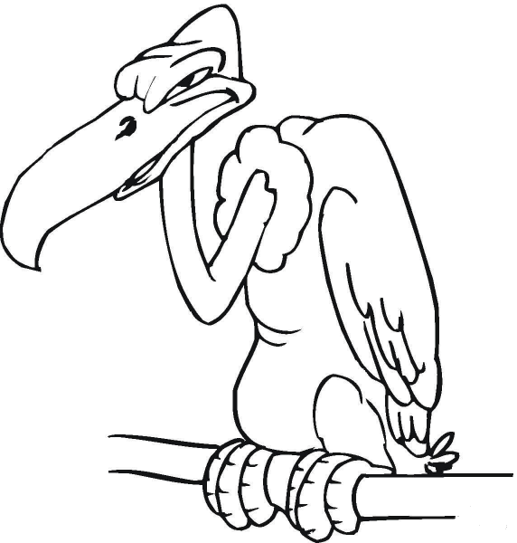 Buzzard  coloring page image