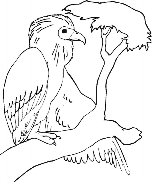 Buzzard is Sitting on the Tree Branch  coloring page image