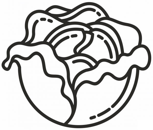 Cabbage coloring page image