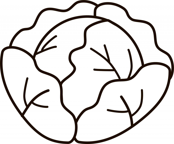 Cabbage coloring page image