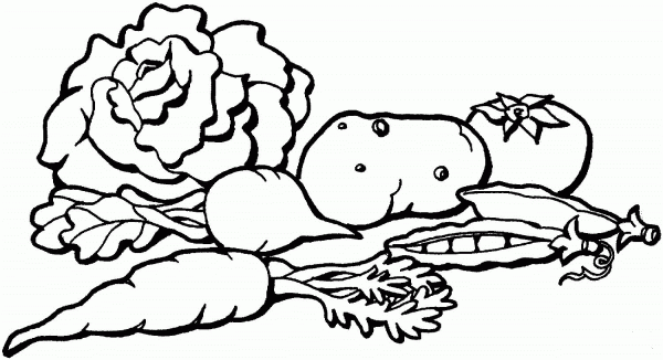Cabbage, Potatoes, Carrots and Tomato coloring page image