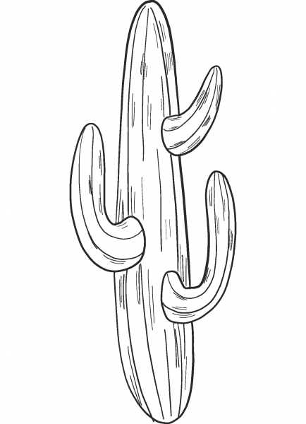 Cactus coloring page image