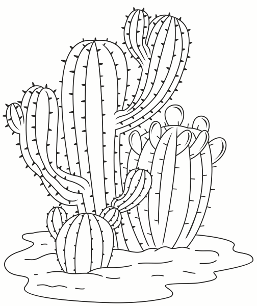 Cactus coloring page image