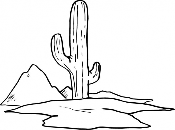 Cactus coloring page image