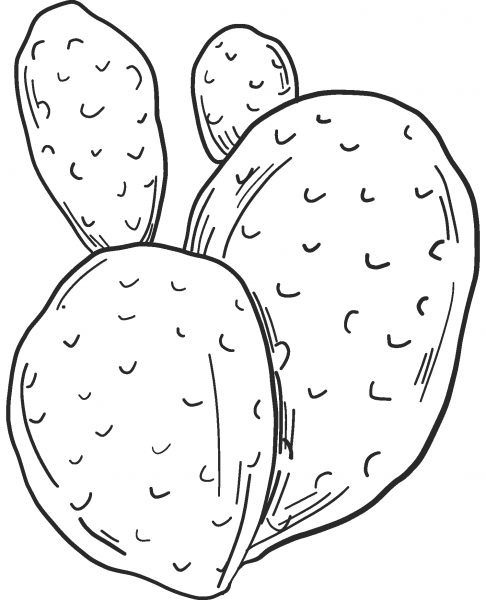 Cactus coloring page image