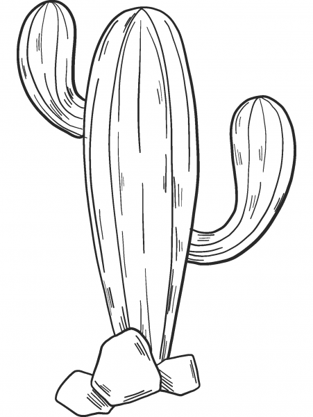 Cactus coloring page image