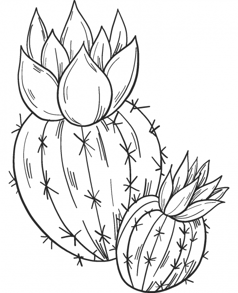 Cactuses coloring page image