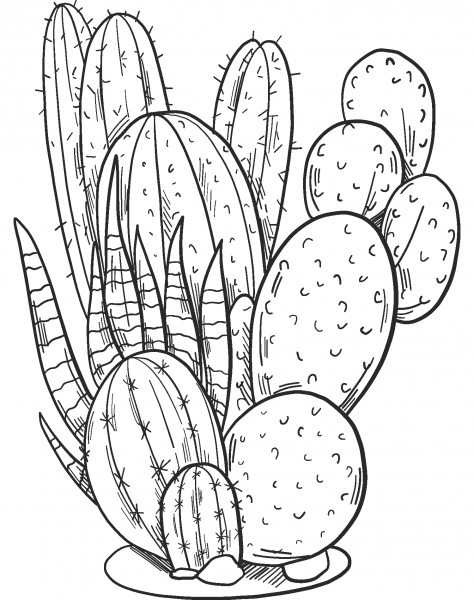 Cactuses coloring page image