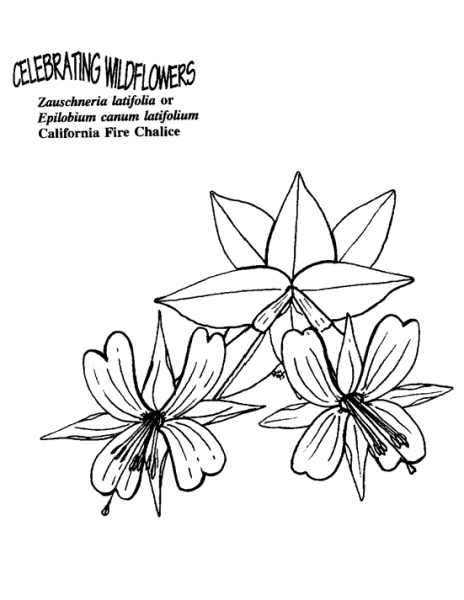 California Fire Chalice coloring page image