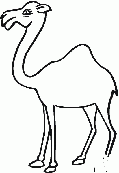 Camel 18 coloring page image